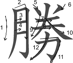 SHOU katsu побеждать SHOU katsu побеждать