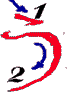 U